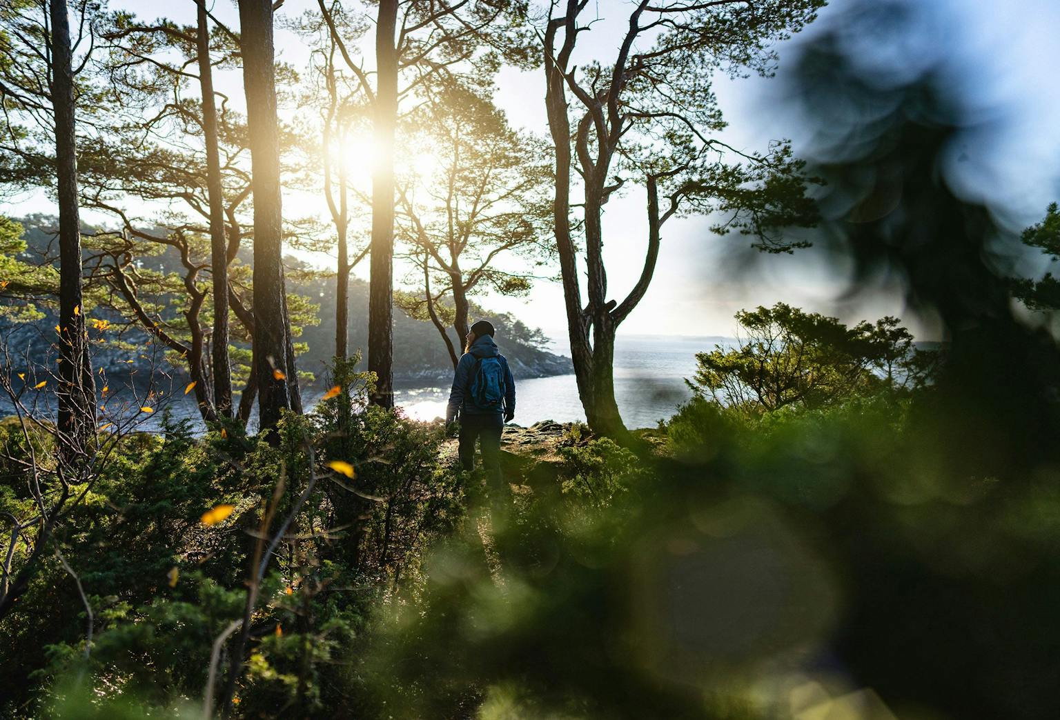 Kvinde der vandrer i norsk  efterårsskov med udsigt til havet